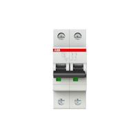 S202L C16 INTERRUTTORE AUTOMATICO 4,5KA 2P