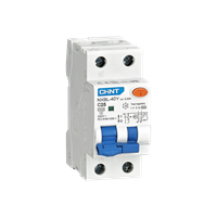 NXBL-40Y/C10-1PN-4,5-A30 -INT MTD 1P+N 10A