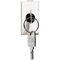 MATIX - INTERRUTTORE 2P 10A CHIAVE