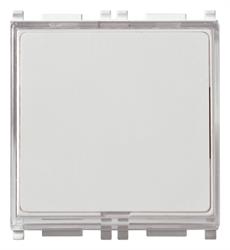 PULSANTE TARGHETTA 1P  10A 250V