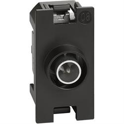 L.NOW - PRESA TV DIRETTA  1 MOD