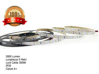 //N.LED 5M 24V BC 14W/M 60L/M 2835 IP20