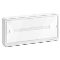 Exiway Light IP42 110Lm SA/SE 1/1,5/2/3h