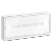 Exiway Light IP42 250Lm SA/SE 1/1,5/2/3h