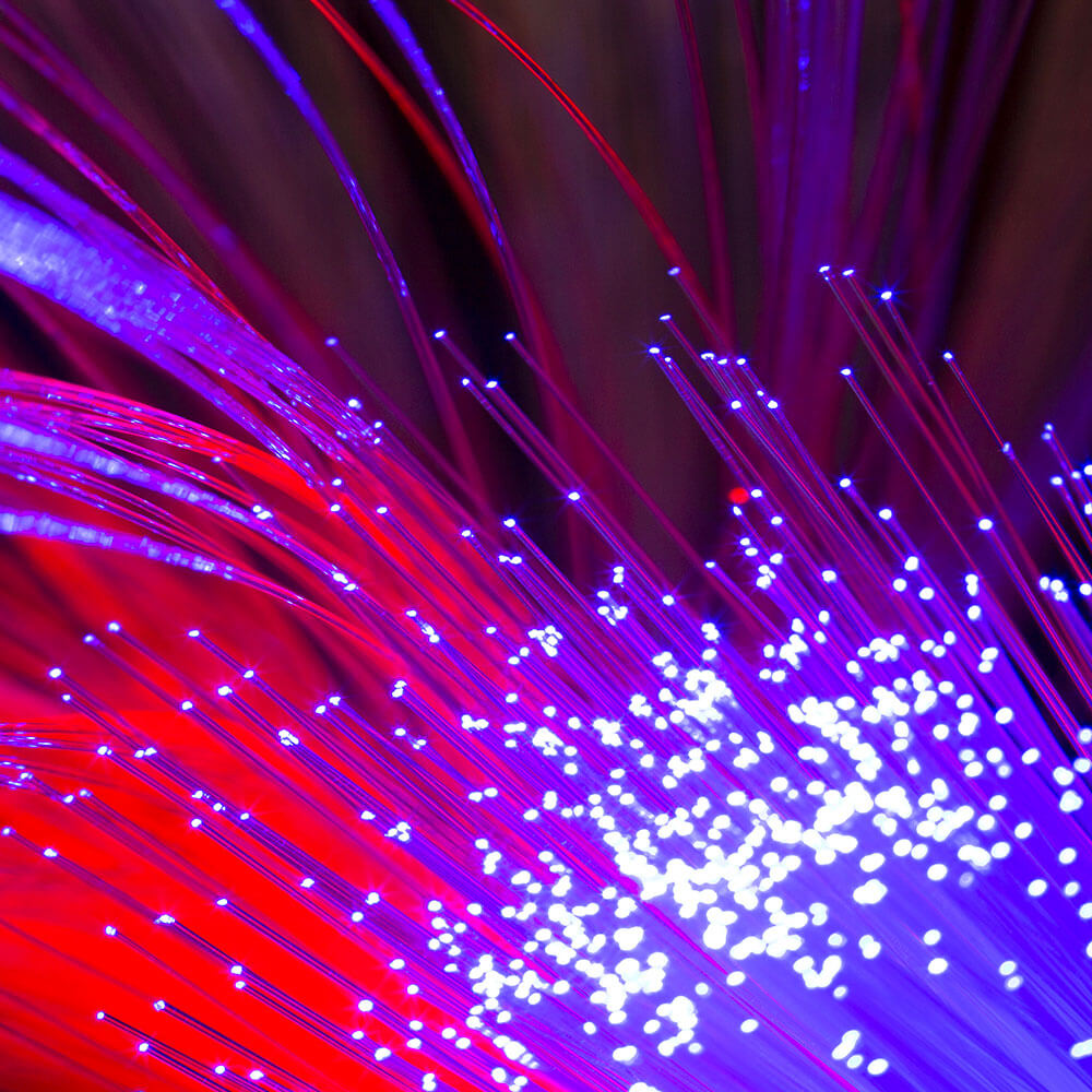 elco-ingross-networking